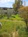 Terreno Agricolo in vendita a Livorno - limoncino - 02