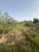 Terreno Agricolo in vendita a Livorno - limoncino - 02
