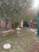 Appartamento in vendita con giardino a Livorno - sorgenti - 05