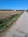Terreno Agricolo in vendita a Capaccio in via tempa di lepre nd - 02, Foto 2