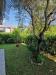 Appartamento in vendita con giardino a Massa - ronchi - 02