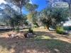 Villa in vendita a Cerveteri in via pietro alfani - 06, Foto 6