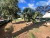 Villa in vendita a Cerveteri in via pietro alfani - 07, Foto 7