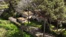 Appartamento in vendita con giardino a Roma in via di grottarossa - 09, Foto 9