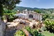 Villa in vendita con giardino a Monte Argentario in via dei molini - 04, Foto 4