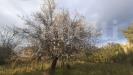 Terreno Agricolo in vendita a San Basilio - 04, 1.jpeg