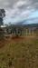 Terreno Agricolo in vendita a San Basilio - 08, 5.jpeg
