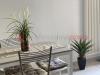 Appartamento in affitto arredato a Firenze - 05, image00008.jpeg