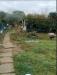 Terreno Agricolo in vendita a Scandicci - 05, WhatsApp Image 2026-06-16 at 10.23.56.jpeg