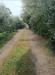 Terreno Agricolo in vendita a Scandicci - 04, WhatsApp Image 2026-06-16 at 10.22.43.jpeg