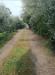 Terreno Agricolo in vendita a Scandicci - 04, WhatsApp Image 2026-06-16 at 10.22.43.jpeg