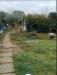 Terreno Agricolo in vendita a Scandicci - 05, WhatsApp Image 2026-06-16 at 10.23.56.jpeg