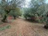 Casa indipendente in vendita con giardino a Vicalvi - 10, WhatsApp Image 2024-07-29 at 18.52.23 (3).jpeg