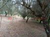 Casa indipendente in vendita con giardino a Vicalvi - 07, WhatsApp Image 2024-07-29 at 18.52.22 (2).jpeg