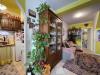 Casa indipendente in vendita a Camaiore - 02