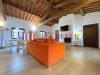 Loft in affitto arredato a Camaiore - lombrici - 06