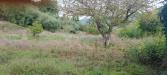 Rustico in vendita con giardino a Vinci - 02