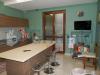 Villa in vendita con giardino a Trani - 10, PA070006.JPG