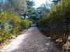 Villa in vendita con giardino a Molfetta - 04, ANMP0067.jpg