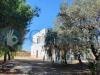 Villa in vendita a Trani - 04, PHOTO-2025-05-21-10-26-53 (4).jpg