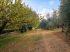 Terreno in vendita classe A4 a Moncalieri - 04