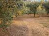 Terreno in vendita classe A4 a Moncalieri - 06