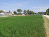 Terreno in vendita a Assisi - tordandrea - 02
