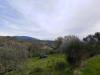 Terreno Agricolo in vendita a Assisi - 04, Foto 4