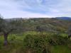 Terreno Agricolo in vendita a Assisi - 06, Foto 6