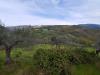 Terreno Agricolo in vendita a Assisi - 05, Foto 5