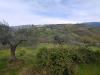 Terreno Agricolo in vendita a Assisi - 08, Foto 8