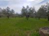 Terreno Agricolo in vendita a Assisi - 04, Foto 4