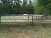 Villa in vendita con giardino a Santarcangelo di Romagna in via dell'uso 65 - 06, Foto 6