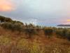 Terreno Agricolo in vendita a Porto Azzurro - 08, Foto 8