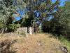Rustico in vendita con giardino a Campo nell'Elba in via pian di mezzo - 04, Foto 4