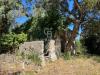 Rustico in vendita con giardino a Campo nell'Elba in via pian di mezzo - 05, Foto 5