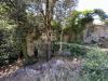 Rustico in vendita con giardino a Campo nell'Elba in via pian di mezzo - 06, Foto 6