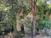 Rustico in vendita con giardino a Campo nell'Elba in via pian di mezzo - 07, Foto 7