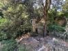Rustico in vendita con giardino a Campo nell'Elba in via pian di mezzo - 08, Foto 8