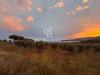 Terreno Agricolo in vendita a Porto Azzurro - 06, Foto 6