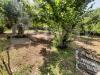 Rustico in vendita con giardino a Teano - 04, WhatsApp Image 2025-06-17 at 12.30.01 (2).jpeg