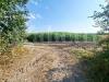 Terreno Agricolo in vendita a Santa Maria La Fossa - 04, WhatsApp Image 2026-07-29 at 11.06.15.jpeg