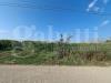 Terreno Agricolo in vendita a Santa Maria La Fossa - 07, WhatsApp Image 2026-07-29 at 11.06.13 (3).jpeg