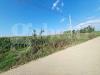 Terreno Agricolo in vendita a Santa Maria La Fossa - 08, WhatsApp Image 2026-07-29 at 11.06.14 (1).jpeg