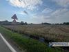 Terreno Agricolo in vendita a Palazzolo sull'Oglio in palazzolo sull'oglio - 02, Foto 2