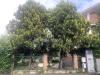 Casa indipendente in vendita con giardino a Nichelino in via giovanni giolitti 47 - 04, Foto 4