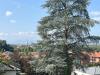 Appartamento bilocale in affitto con giardino a Torino in strada al traforo di pino 39 - 05, Foto 5