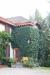 Villa in vendita con giardino a Molare in localit campale 2 - 09, Foto 9