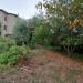 Appartamento in vendita con giardino a Sorano - 03