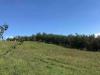 Terreno in vendita a Sorano - 02